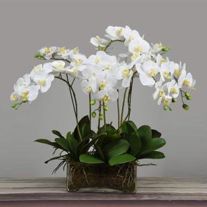 Kunstblumen Künstliche Blumen, künstliche Phalaenopsis-PU-Blumen, Tischdekoration – Moderne künstliche Orchideen in Glasvase für jeden Anlass