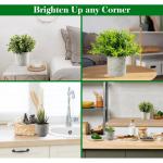 4 stuks , mini-kunstplant als echte eucalyptus, rozemarijn, vetplanten, voor tafeldecoratie keuken, huis, balkon, kantoor, bureau, binnendecoratie