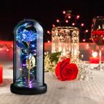 Rozencadeaus voor vrouwen, moeders, vrouwen, kleurrijke kunstroos, cadeau voor vrouwen, altijd in glazen koepel voor verjaardag, Kerstmis, Moederdag, decoraties (blauw)