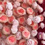 Wandpaneel Mit Künstlichen Hochzeitsblumen, Unterseite Aus Stoff, Weiß, Rot, Romantische Rose, Kunstseide, Floraler Hintergrund(2M*2M)