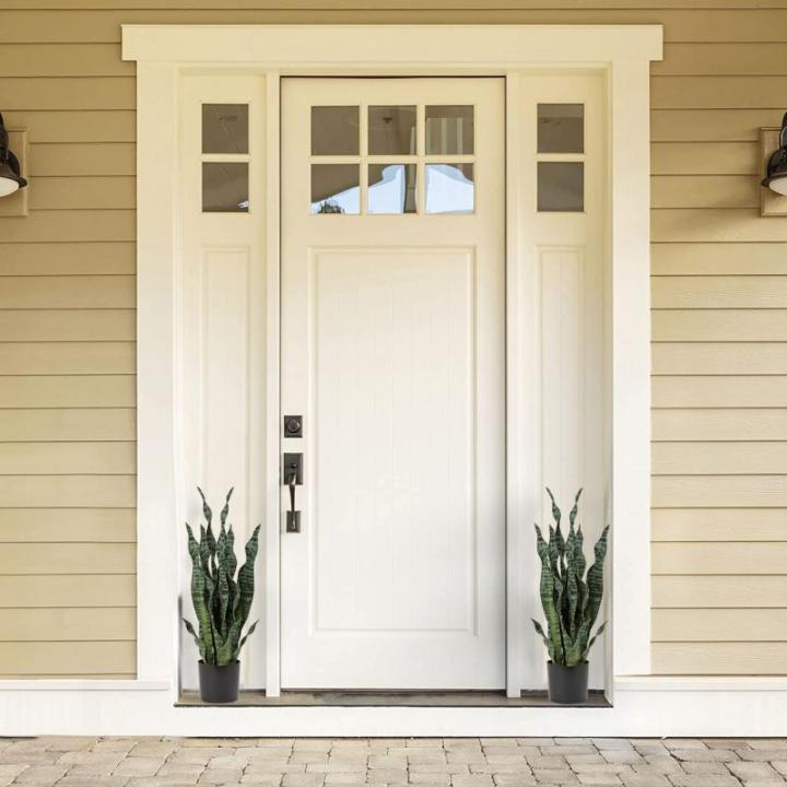 Sansevieria , 2 stuks, hoogte 64 cm, , decoratie, woonkamer, plant, kamerplanten, balkon, kantoor, decoratie, kunstplant voor tuin, kantoordecoratie