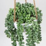 Senecio Kunstmatige planten hangplant voor vetplanten, kunstbloemen, , hoogte 35,5 cm, in hanglamp