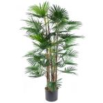 Realistische künstliche Palme und Tropische Bäume im Topf – fertig zum Ausstellen