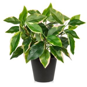 30 cm in pot voor woondecoratie, kleine in potten, decoratie, desktop, bonsai, met potten, tafeldecoratie, huis, balkon, kantoor, decoratie