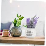 3st Bonsai-Handwerk Simulationsblumentopf Simulation Topfkultur Saftiger Pflanzentopf Landschaftsblumentopf Tischdeko Topf Blumentopf-Ornament Kunstblumen Mit Vase Violett