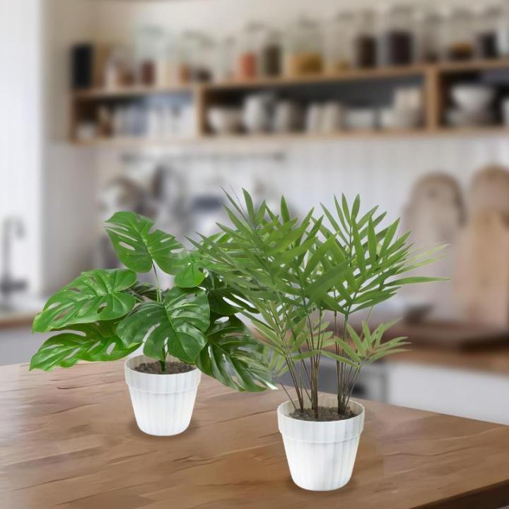 Set van 2 , zoals echt in witte bloempot, Monstera en Areca kunstpalm (25 cm), kunstplant voor decoratie woonkamer, decoratie slaapkamer, badkamerdecoratie,