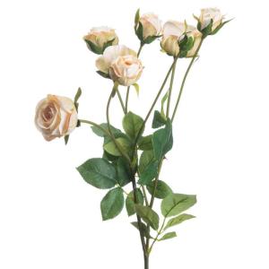 The Recipe Sprührose, Faux, Pfirsich, 5.88 cm