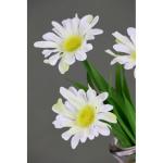 Kunstmini-margrieten in glazen arrangement madeliefjes, decoratie, decoratieve bloemen, planten, , voorjaarsdecoratie, , voorjaar, Pasen, paasdecoratie,