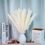 Gedroogde pampasdecoratie, gedroogde bloemen, natuurlijk, doe-het-zelf, droogbloemen, boeket, ideaal voor boho, woonkamer, bruiloft, slaapkamer en vazen (LZGSGO-0109)