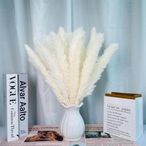 Gedroogde pampasdecoratie, gedroogde bloemen, natuurlijk, doe-het-zelf, droogbloemen, boeket, ideaal voor boho, woonkamer, bruiloft, slaapkamer en vazen (LZGSGO-0109)