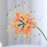 Künstliche Spinnenlilien-Blumen, 5 Stiele, 66,9 cm, Lycoris Radiata-Blumen, Lebensechte Lycoris Recoil Fake-Spinnenpflanze, Seidenblumenstrauß-Dekor für Zuhause (A)