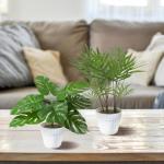 Set van 2 , zoals echt in witte bloempot, Monstera en Areca kunstpalm (25 cm), kunstplant voor decoratie woonkamer, decoratie slaapkamer, badkamerdecoratie,