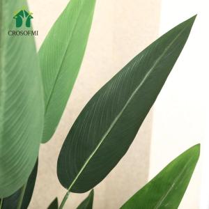 Künstlich Lilienbaum 160CM Fake Tropische Plastik Palme Perfekte Große Pflanzen im Topf für Indoor Outdoor Haus Haus Büro Garten Moderne Dekoration Housewarming Geschenk（1 Pa