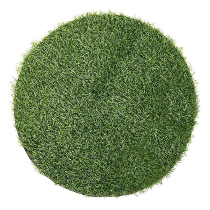 Schachtdeckel Dekoration Rasen Tischset Aus Kunstgras Rasenfläche Realistische Grasteppiche Tischsets Aus Kunstrasen Gefälschte Grasmatte Plastik Esstisch Gefälschte Strohmatte