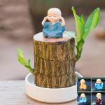 Braziliaanse planten indoor geluksholt plant set kleine mini-plant desktopplanten Braziliaanse houten plant met monniken Braziliaans hout plantenstronk hout hydrocultuurplant (1B-A