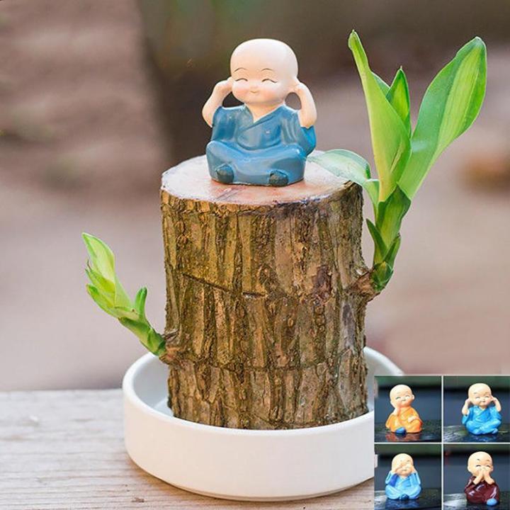 Braziliaanse planten indoor geluksholt plant set kleine mini-plant desktopplanten Braziliaanse houten plant met monniken Braziliaans hout plantenstronk hout hydrocultuurplant (1B-A