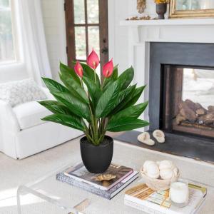 Kunstplant als echte kunstplant, decoratieve plant Calathea, struikachtig met 22 bladeren in kunststof pot, kamerplant, hoogte 43 cm, groen