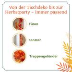 Brauns Heitmann Slinger