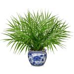 Kunstpalm, in pot, als echt, kunstkamerplanten voor thuis, kantoor, hotel, bookstore café, moderne decoratie