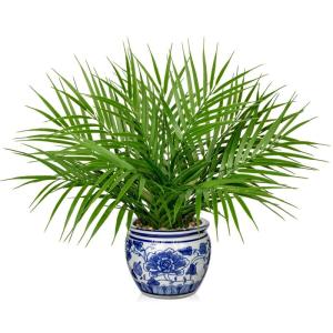 Kunstpalm, in pot, als echt, kunstkamerplanten voor thuis, kantoor, hotel, bookstore café, moderne decoratie
