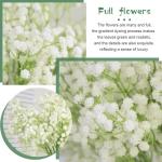 Gypsophila-, 10 stuks Gypsophila-planten, voor bruiloft, bruidsboeket, thuis, knutselen en decoratie