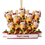 Gepersonaliseerde kersthangers met 2/3/4/5/6/7/8 familienamen - 2023 kunsthars kerstboomversiering gepersonaliseerde familie, partners en vrienden 8