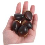 3 Sätze Schaumkastanie Simulationsnüsse Künstliche Kastaniendekorationen Kastanien-tischstreuung Künstliche Küchennahrung Schaumfruchtmodell Falsche Nuss Coffee 30 Stück * 3