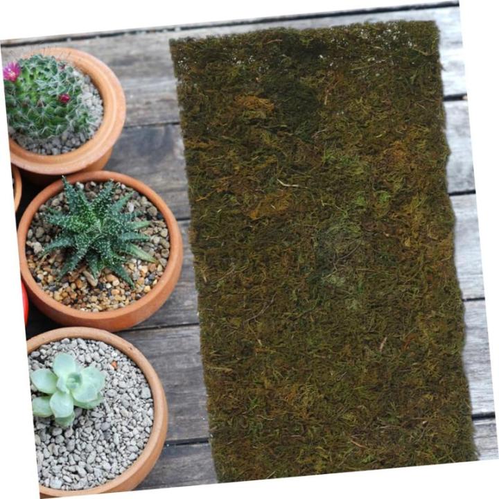 1 Rolle Künstlicher Moosrasen Kunstrasenfliesen Moos Kulisse Terrasse Bastelmoosmatte Realistische Grasfliese Tischläufer Aus Gras Landschaftsbau Moos Künstliches Moos Green
