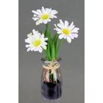 Kunstmini-margrieten in glazen arrangement madeliefjes, decoratie, decoratieve bloemen, planten, , voorjaarsdecoratie, , voorjaar, Pasen, paasdecoratie,