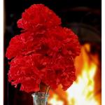 kunstbloemen in pot decoratie woning modern decoratie woonkamer, cadeau, 32cm,, 32cm