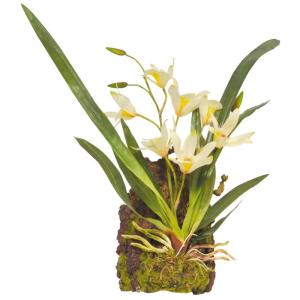 IF-16 hangorchidee kunststof plant/plastic plant om op te hangen, wit