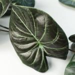Ontwerp kunstmatige hangende planten