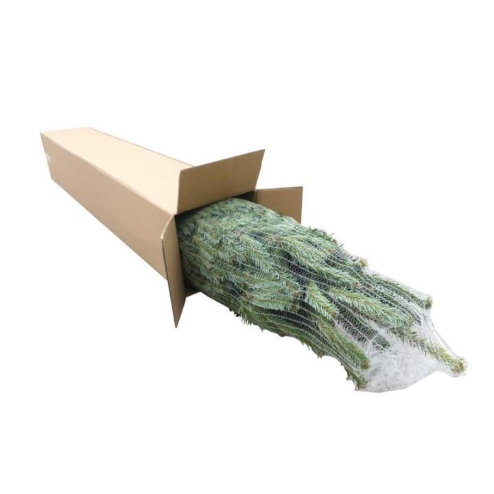 Echte kerstboom - Nordmann-spar - vers geslagen kerstboom dennenboom (spar, 120-140 cm)