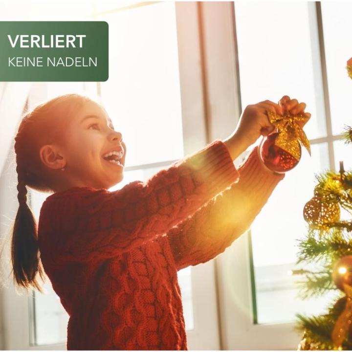 Premium kerstboom 240 cm – helder licht – kunstmatige kerstboom – met 70 leds – onechte dennenboom – PE-kerstboom