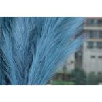 5 stks Kunstbloemen, Pampas Gras Larg Ascendant Gras Nep Bloemen Gras voor Bruiloft Boeketten Home Party Hotel Centerpieces Decoraties, Blauw