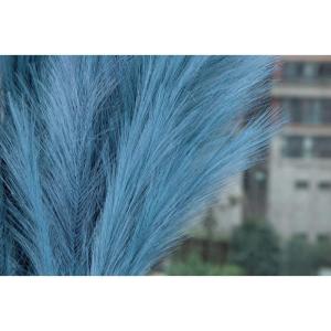 5 stks Kunstbloemen, Pampas Gras Larg Ascendant Gras Nep Bloemen Gras voor Bruiloft Boeketten Home Party Hotel Centerpieces Decoraties, Blauw