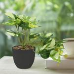 Monstera kunstplant in potten, mini-, voor binnen en buiten, als echt geschikt voor balkon