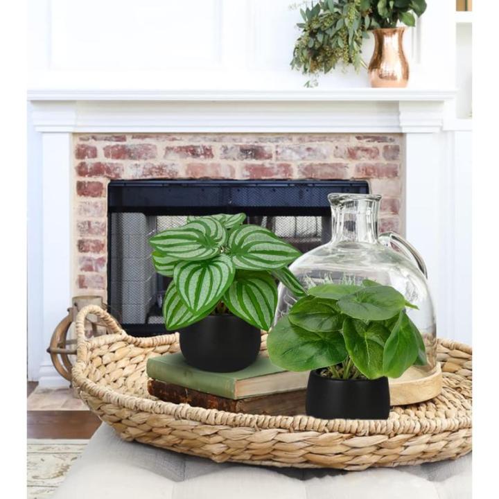 Set van 3 als echte kunstkamerplanten, decoratieve planten voor woonkamer, badkamer, hoogte ca. 15 cm, in zwarte keramische pot