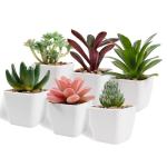 6 stuks decoratieve , kleine met pot, kunstvetplanten, nepplanten, voor binnen, thuis, kantoor, tafel, badkamer, slaapkamer, balkondecoratie