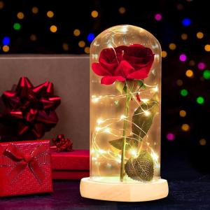 Mooie en het Beest roos, voor altijd roos, eeuwige roos in glazen koepel, magische roos met ledstrips, rozencadeau voor jubileum, Valentijnsdag, Moederdag en verjaardag.