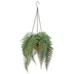 varenplanten, bonston varen, hangplant, kunstvaren, als echt voor muur, keuken, veranda, hangmand, decoratie, met hanghanger