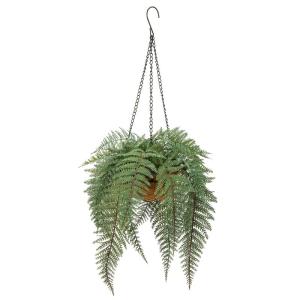 varenplanten, bonston varen, hangplant, kunstvaren, als echt voor muur, keuken, veranda, hangmand, decoratie, met hanghanger