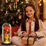 Rosen-Geschenke für Frauen, Mütter, Ehefrau, bunte künstliche Rosen, Geschenke für Frauen, für immer in Glaskuppel, Regenbogen-Rose für Geburtstag, Weihnachten, Muttertag, De