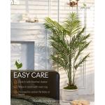 165cm künstliche Dypsis Lutescens Palme, Pflanze nur für den Innenbereich mit 15 abnehmbaren Stämmen, deko für Büro, Laden, Wohnung und Party