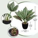 Kunstplant Calathea, kamerplant, kunstplant als echt struikachtig met 8 gekleurde bladeren in kunststof pot, hoogte 33 cm, groen-rood