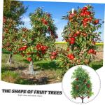 1 Satz Obstbaum-Modell Gründekor Mini-obstbaum Modelleisenbahn Baum Realistischer Pflanzenschmuck Künstlicher Pfirsichbaum Grüner Minibaum Kaktus-dekor Obstbäume Green Plastik 