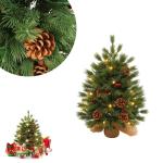Mini-kerstboom met warmwitte verlichting, led, kleine kerstboom, kunstmatig versierd, voor kerstdecoratie, 60 cm, tafel, kerstboom, typre C-Pure PE kerstboom