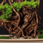 Kunstbonsai-boom kunstmatige bonsai-boom in vierkante keramische bloempot simulatie welkomstdennenboom grote groene potplant bonsai nep dennenboom voor binnen- en buitendecoratie k