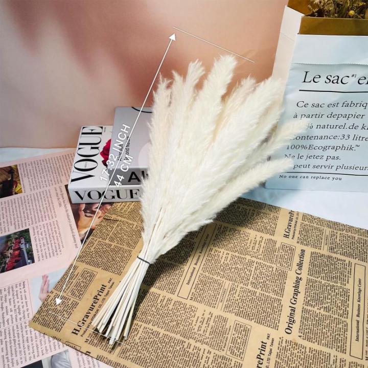 Gedroogde pampasdecoratie, gedroogde bloemen, natuurlijk, doe-het-zelf, droogbloemen, boeket, ideaal voor boho, woonkamer, bruiloft, slaapkamer en vazen (LZGSGO-0109)