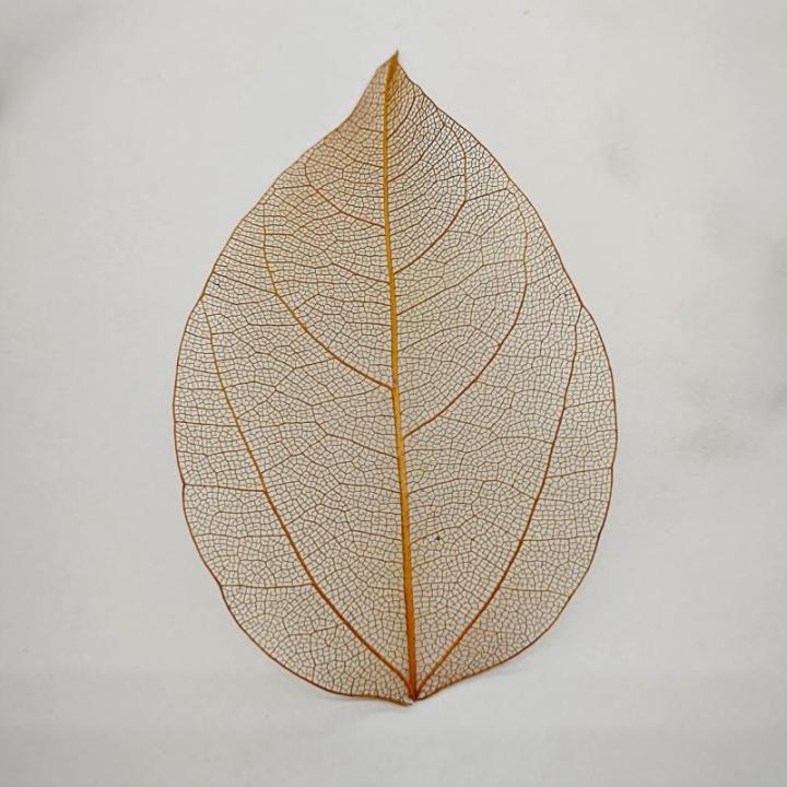 50 stuks kunstbladeren, decoratieve kunstbladeren, slinger, knutselen, droge bladeren, gedroogde bladeren, gebruikt voor doe-het-zelf handwerk, scrapbook, handwerk, kaarten maken (
